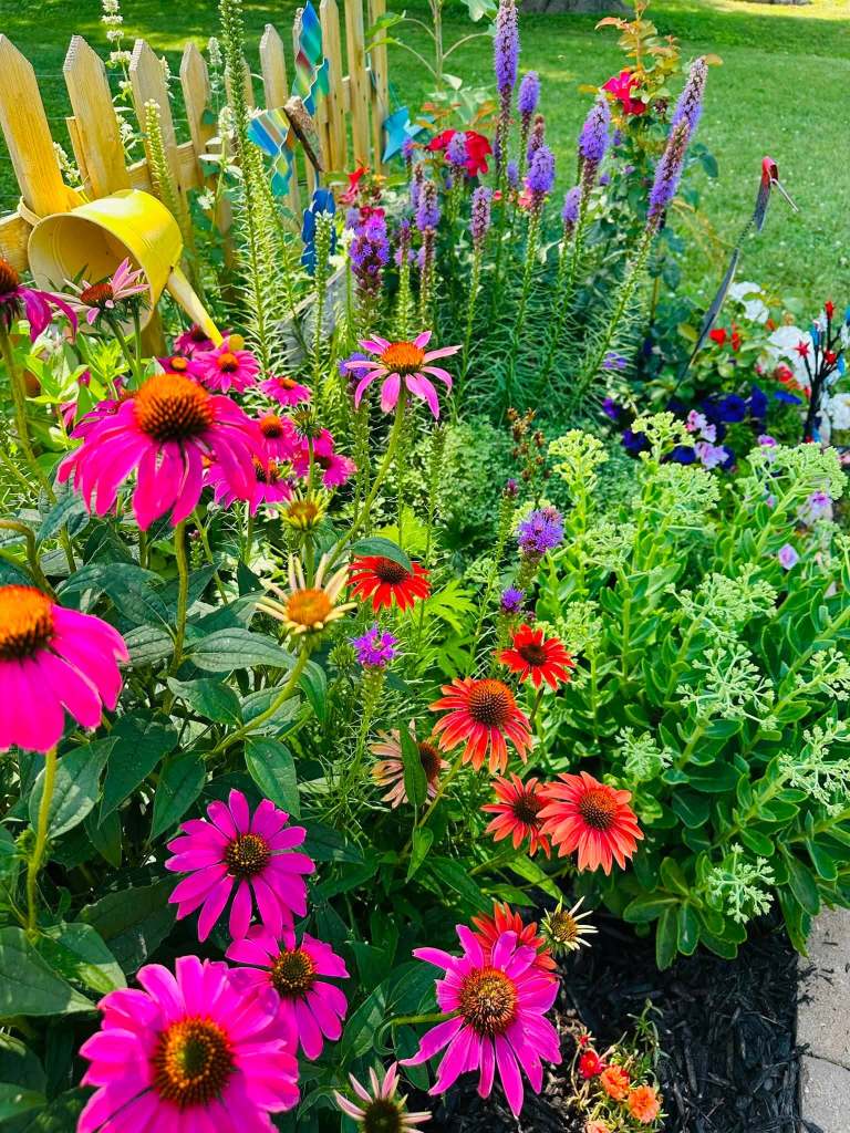 A vibrant flower garden featuring pink, red, and purple flowers with a wooden fence in the background. A yellow watering can adds a decorative touch.