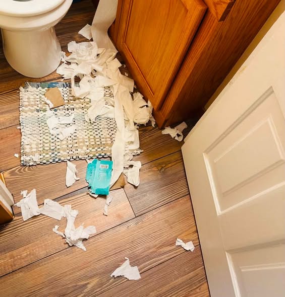 A cluttered bathroom floor with a toilet, a disheveled bath mat, and scattered pieces of white tissue paper.