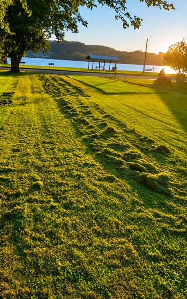 A sunlit grassy field with freshly cut grass clippings and a scenic view of a lake in the background, featuring a gazebo and benches.
