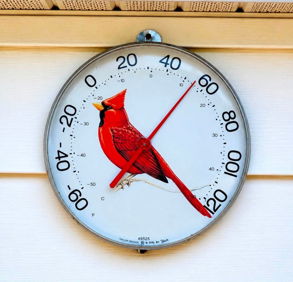 A decorative thermometer featuring a painted red cardinal on a white background, displaying temperature in Fahrenheit and Celsius.