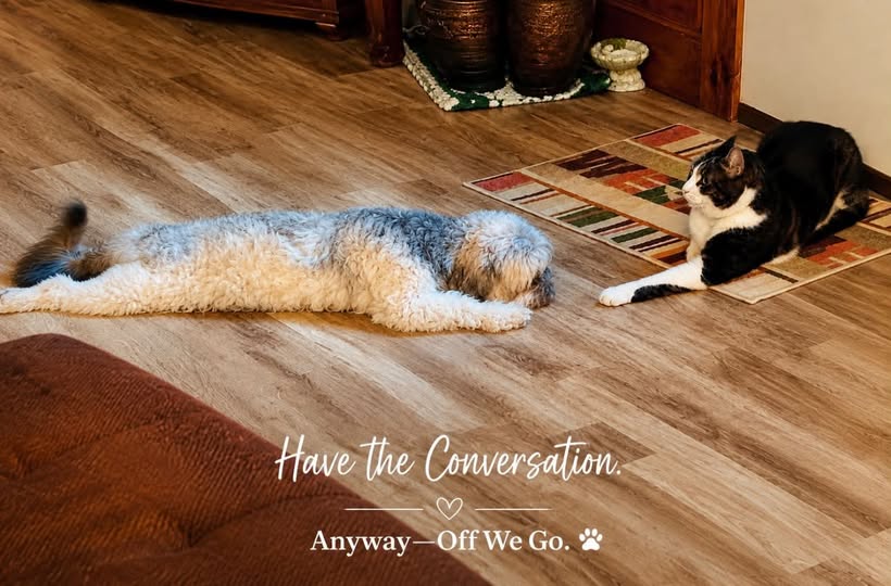 A dog lying on the floor beside a cat, both facing each other in a cozy room with wooden flooring.