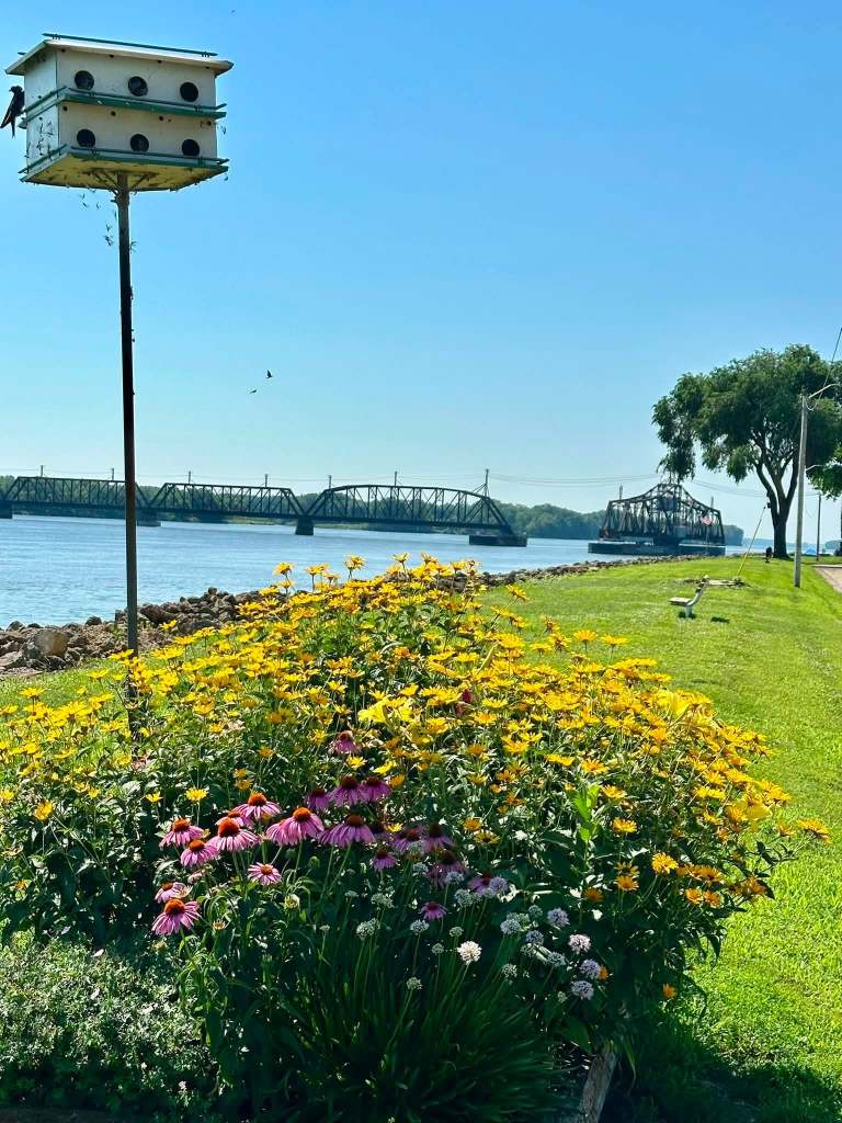 A birdhouse on a pole near a vibrant flower garden with yellow and purple blooms, overlooking a river and a bridge in the background.
