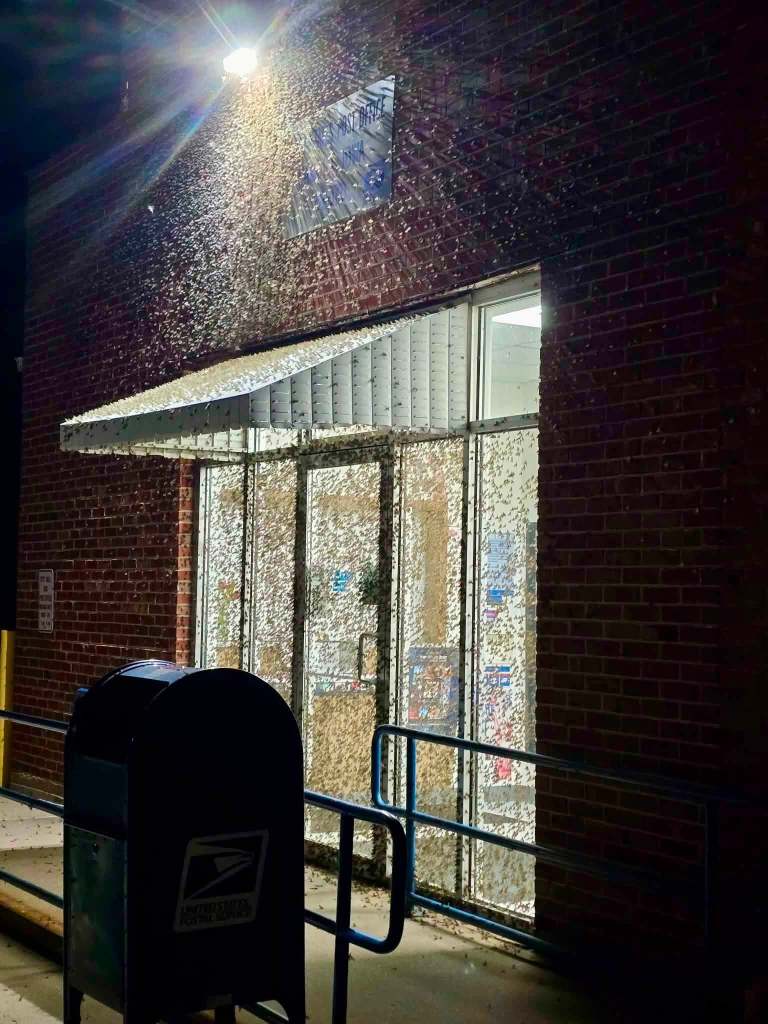A nighttime view of a post office entrance, illuminated by a bright light, with many tiny insects swarming around the door.